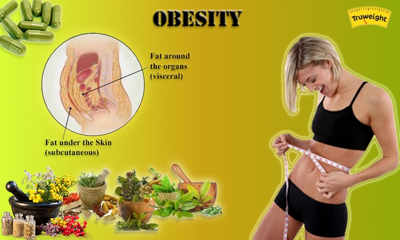Obesity Obesity